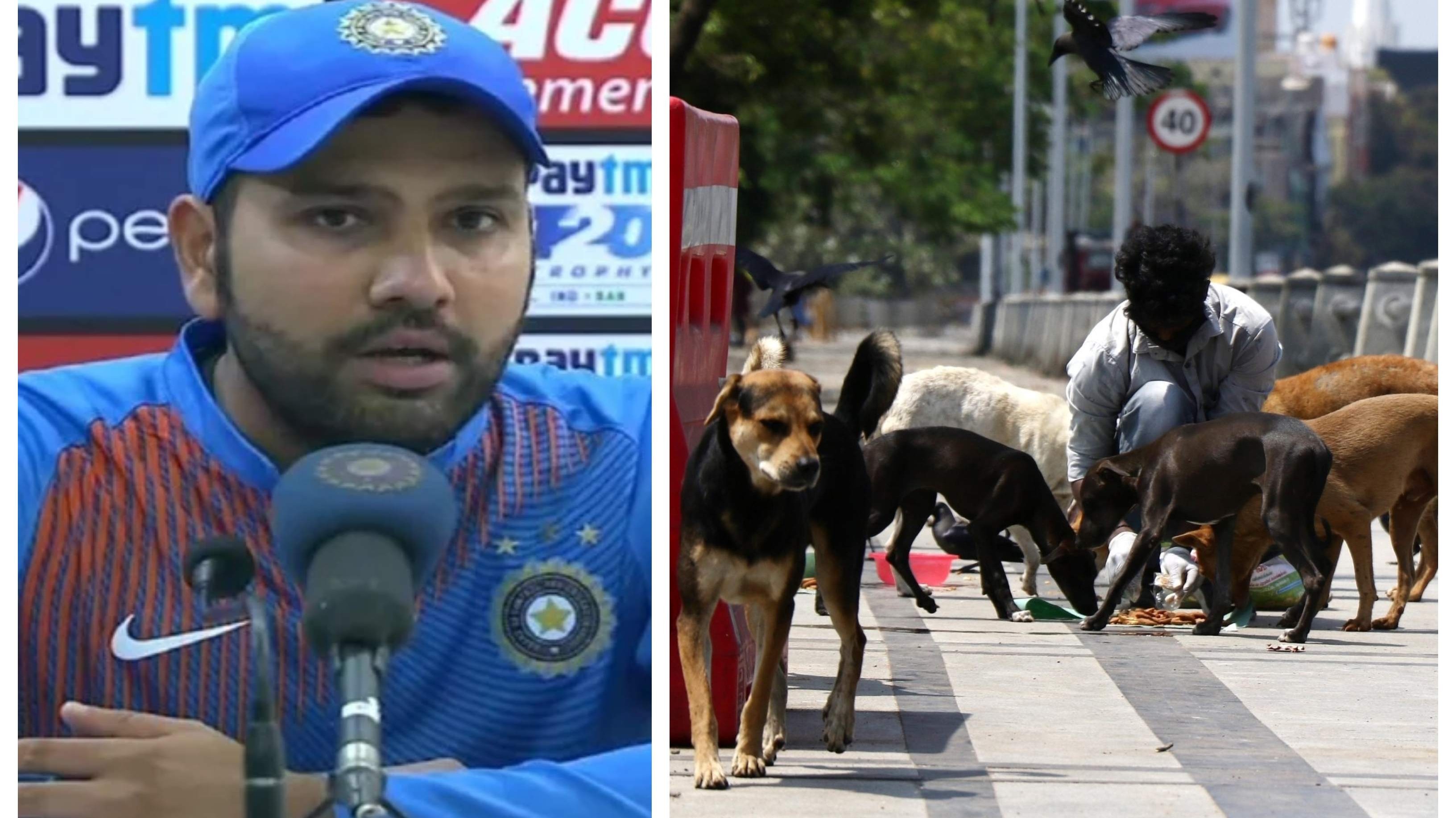 Rohit Sharma urges people to show support towards stray animals amid COVID-19 lockdown