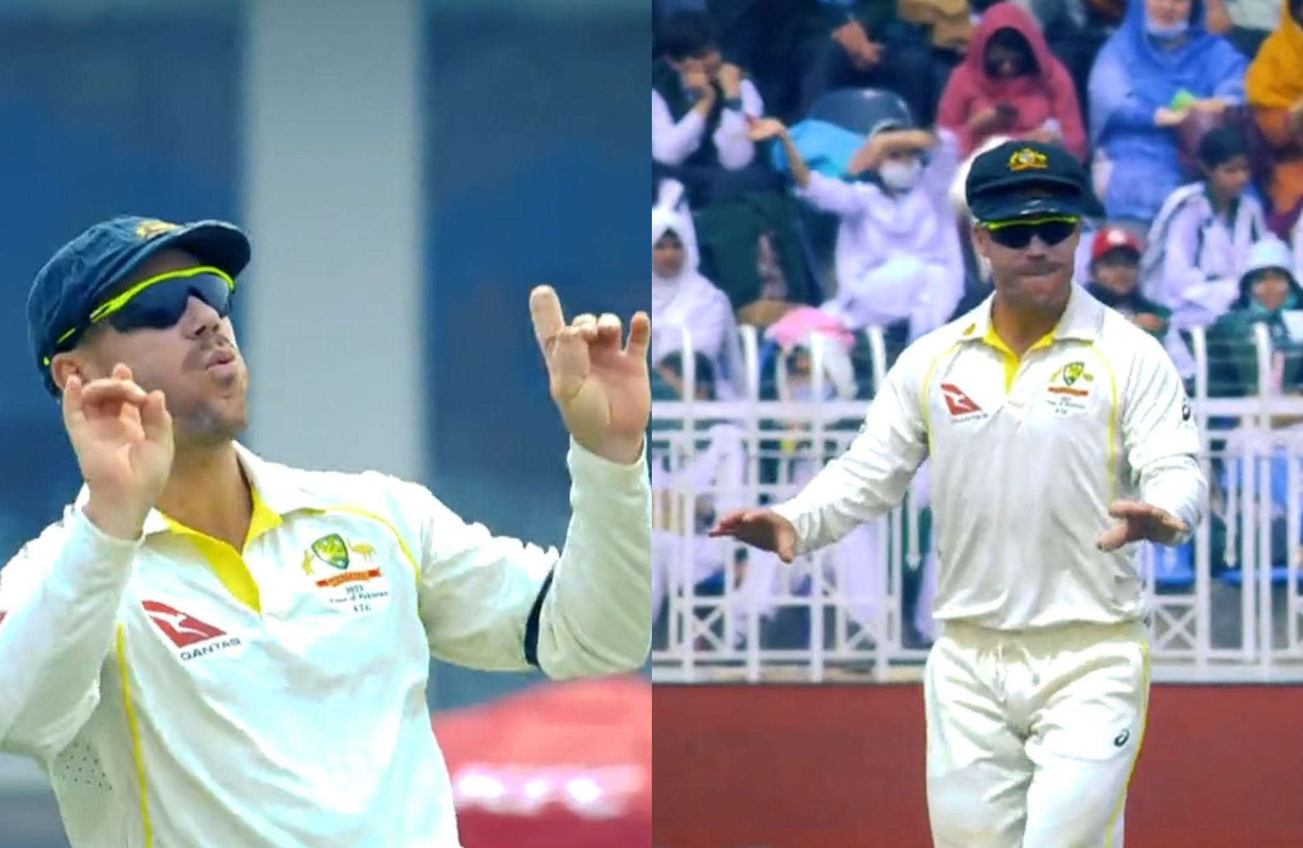 David Warner doing the bhangra during Rawalpindi Test | Twitter