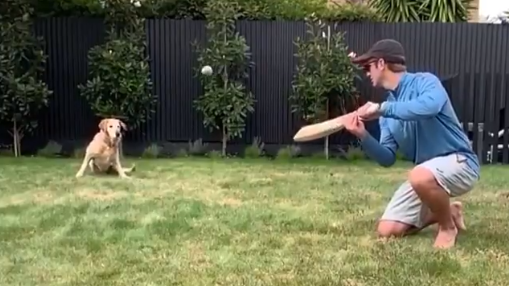 WATCH: Kane Williamson gives his dog slip catches during self-isolation