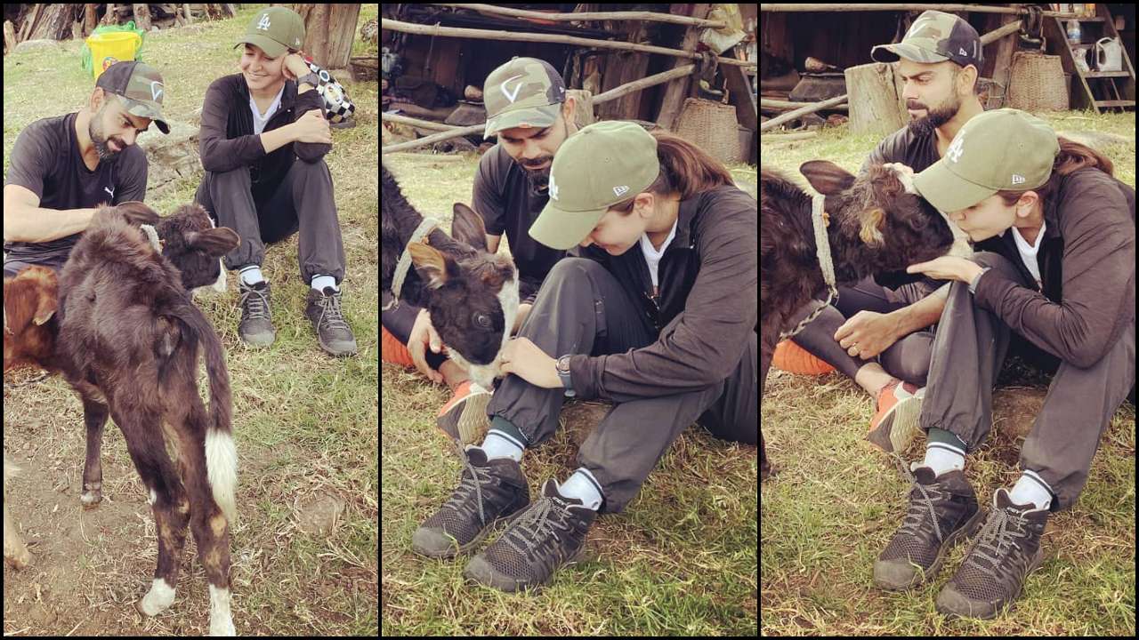 Anushka Sharma, Virat Kohli spend quality time with animals in Bhutan | Instagram