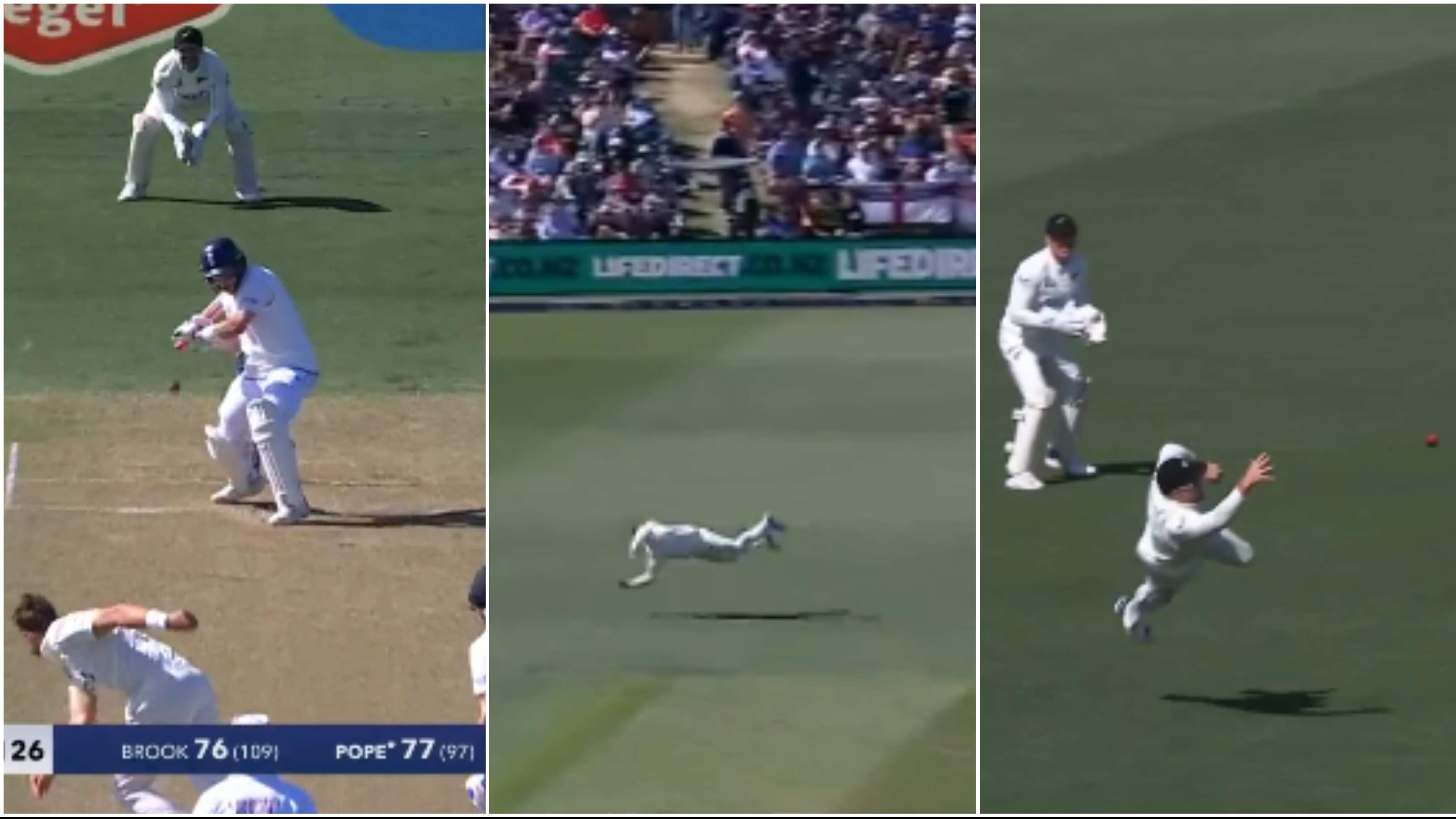 NZ v ENG 2024: WATCH - Glenn Phillips plucks a one-handed screamer at gully to dismiss Ollie Pope in Christchurch Test