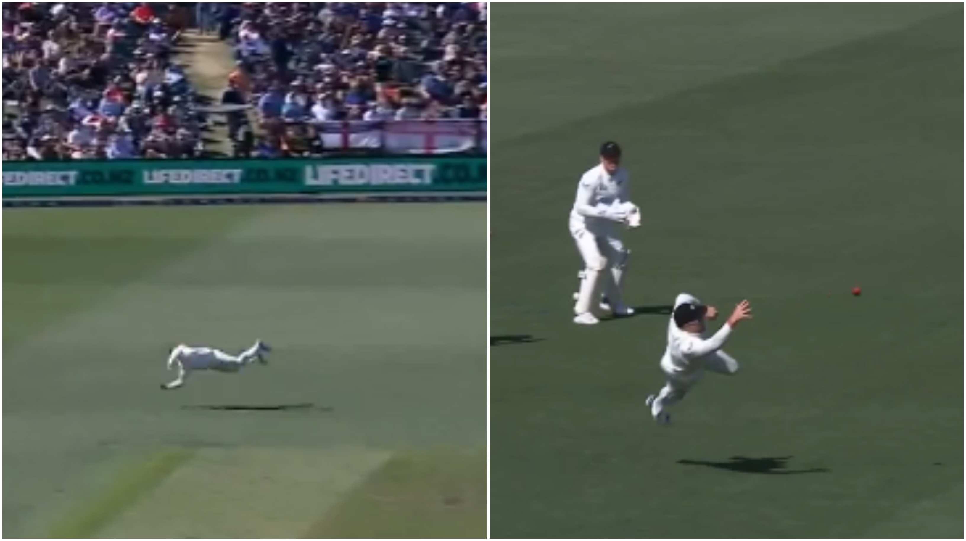 Glenn Phillips' incredible catch | Screengrab