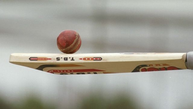 MCC rejected cricket bats made from bamboo | Getty