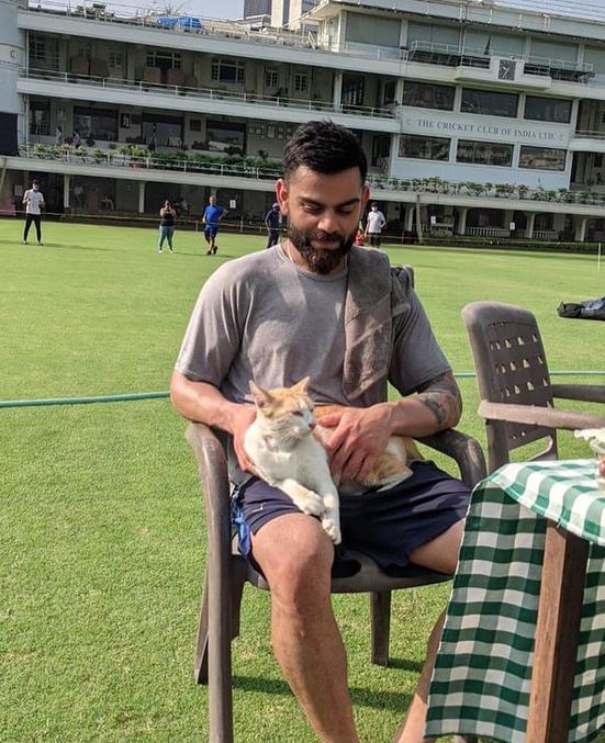 Kohli was seen with a cat during practice session | Instagram