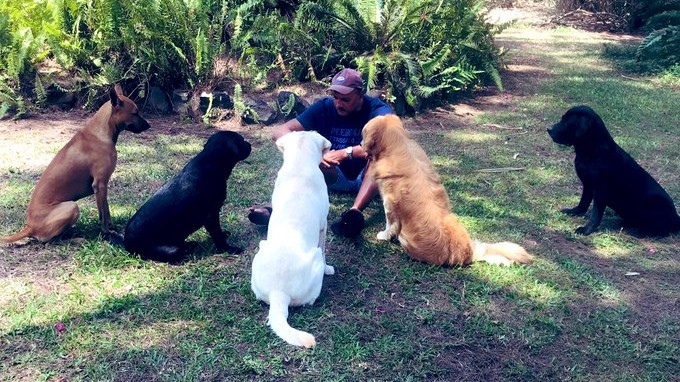 Ravi Shastri's pet dogs join him in a huddle as India head coach misses cricketing action 