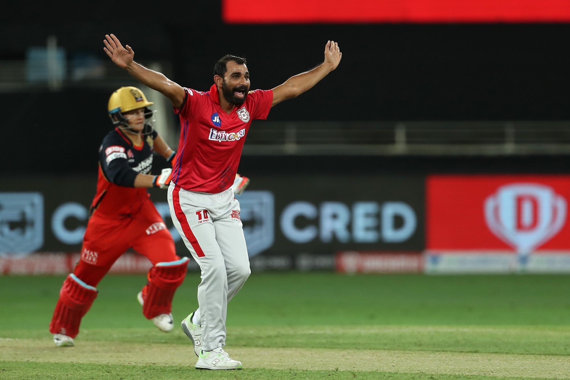 Mohammad Shami has shined brightly in otherwise gloomy KXIP team | Twitter