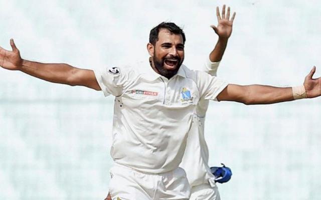 Mohammad Shami | PTI
