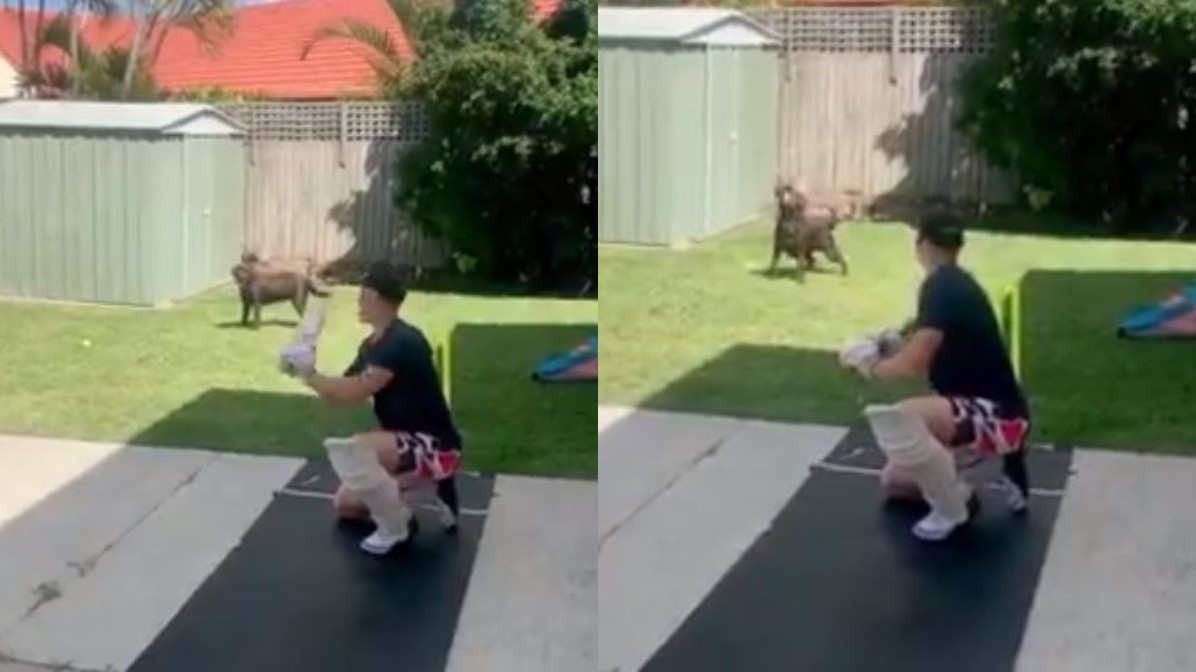 WATCH- Marnus Labuschagne has a slip catching session with his pet dog Milo