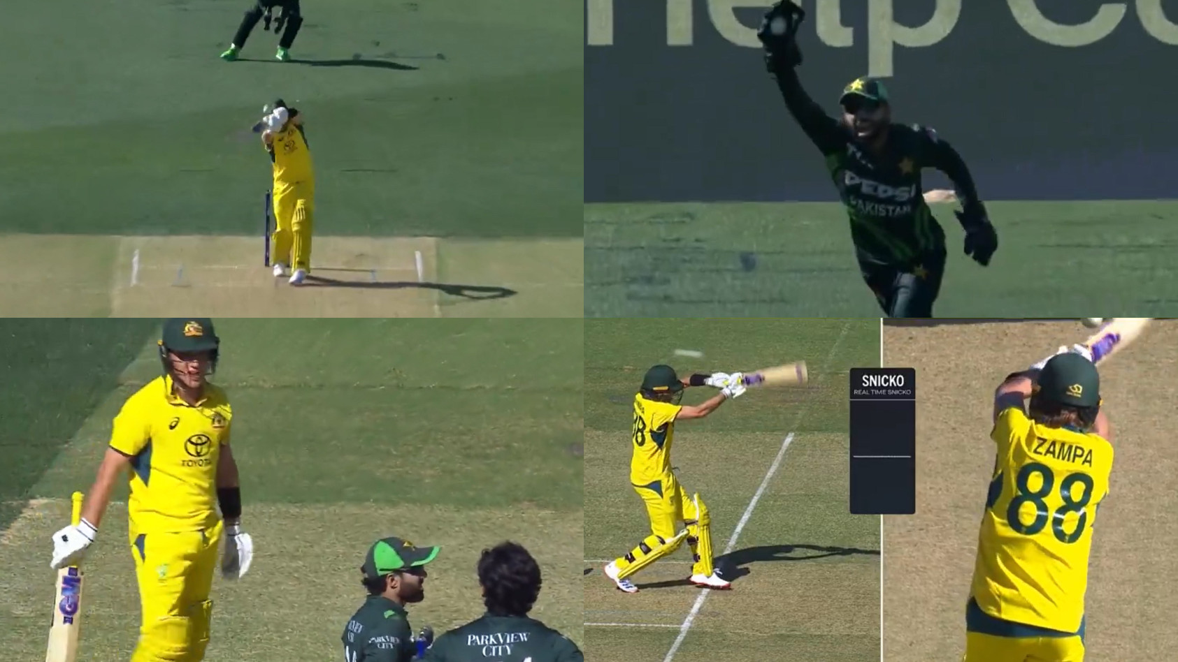 AUS v PAK 2024: WATCH- Mohammad Rizwan fooled into wasting a DRS review by Adam Zampa in 2nd ODI