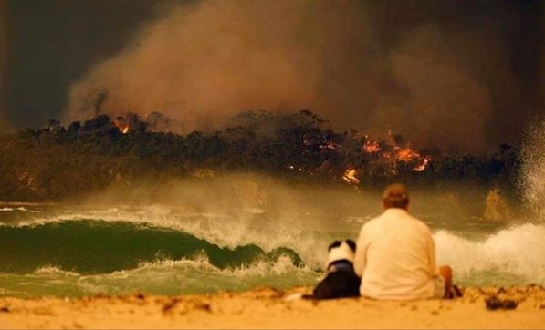 Bushfires have affected various parts of the country | Instagram/David Warner 