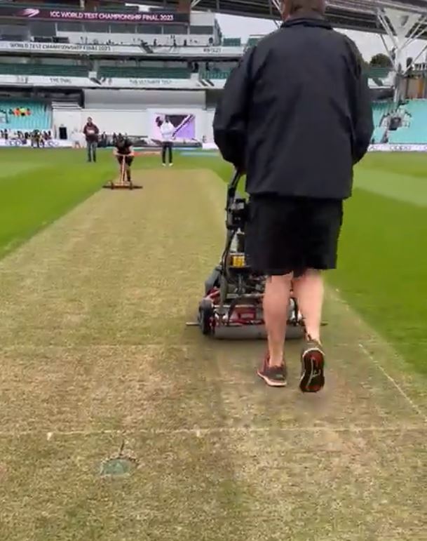Oval pitch being trimmed | Twitter