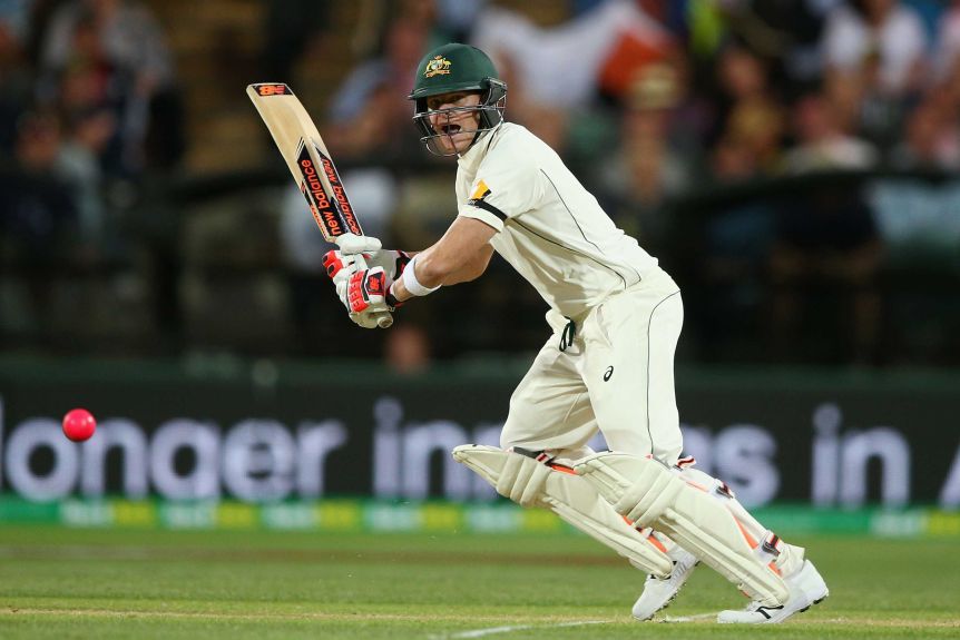 Smith gave Australia the advantage in day-night Tests