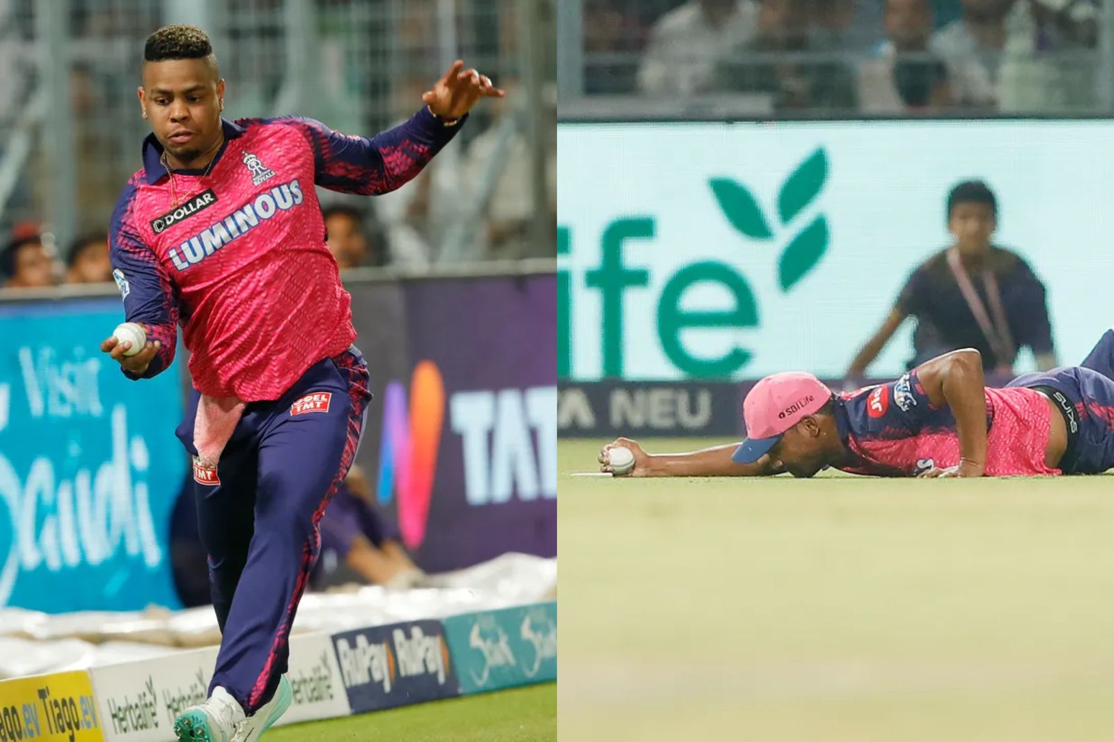 Shimron Hetmyer and Sandeep Sharma's catches | BCCI/IPL 