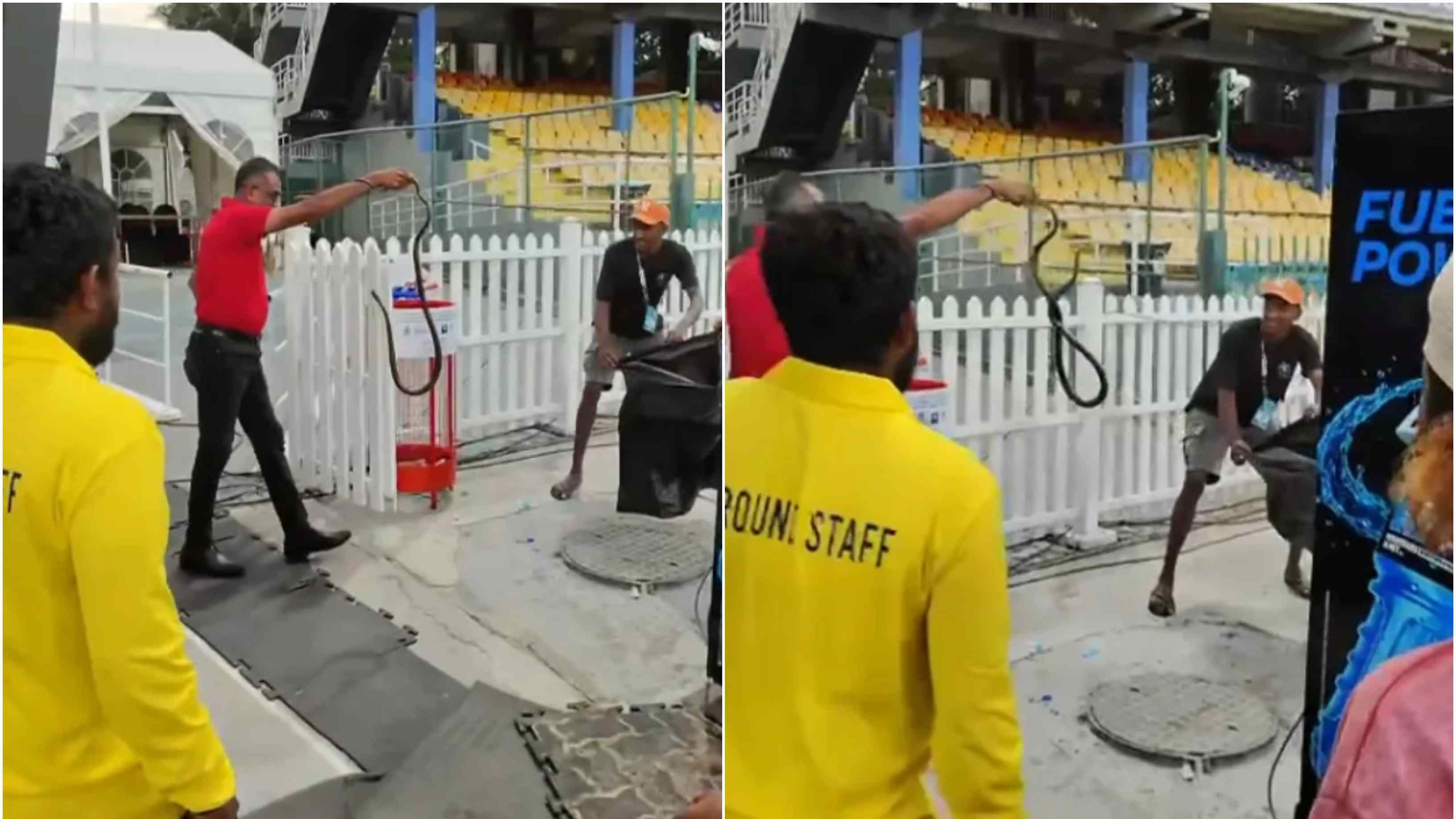 T20 World Cup 2026: WATCH – Snake spotted in Pakistan's dugout ahead of India clash; video goes viral
