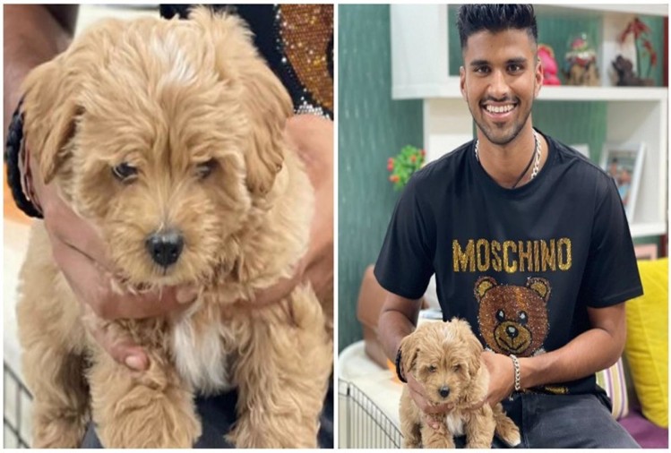Washington Sundar named his dog Gabba after his heroics and India's victory at the venue