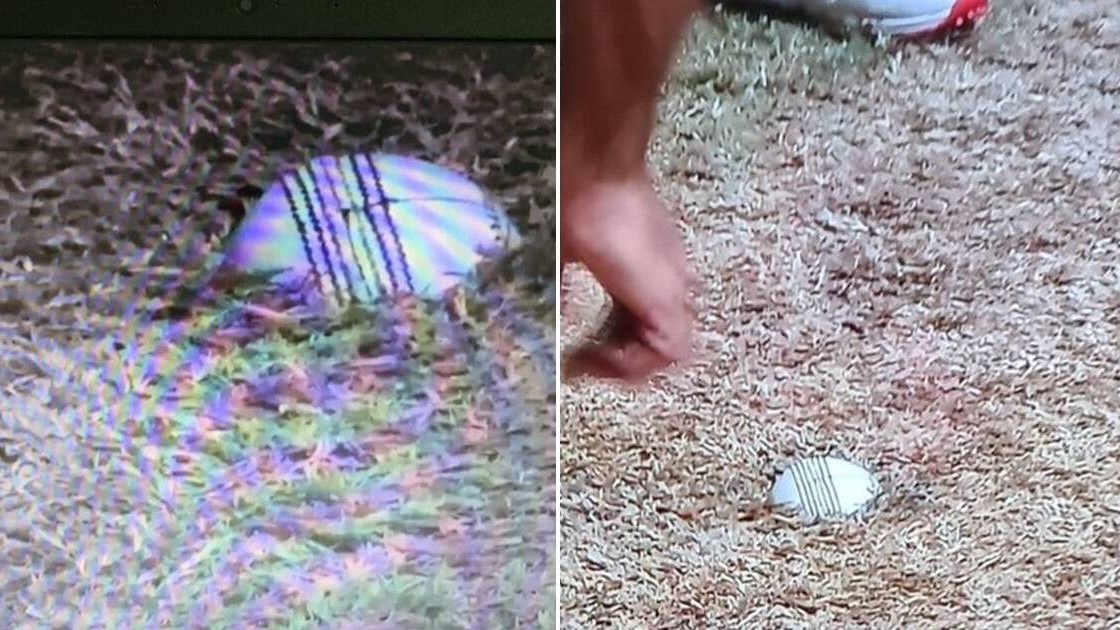 CPL 2020: Guyana-Jamaica match delayed as roller accidentally rolled the ball into pitch