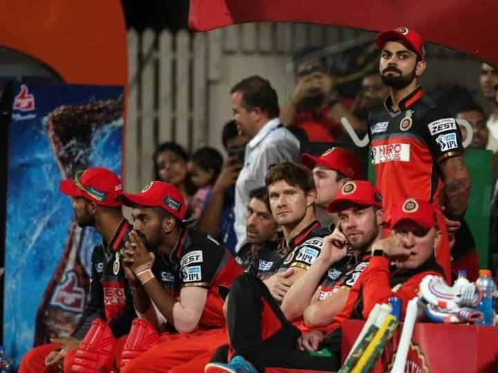 RCB in IPL 2016 | Twitter 