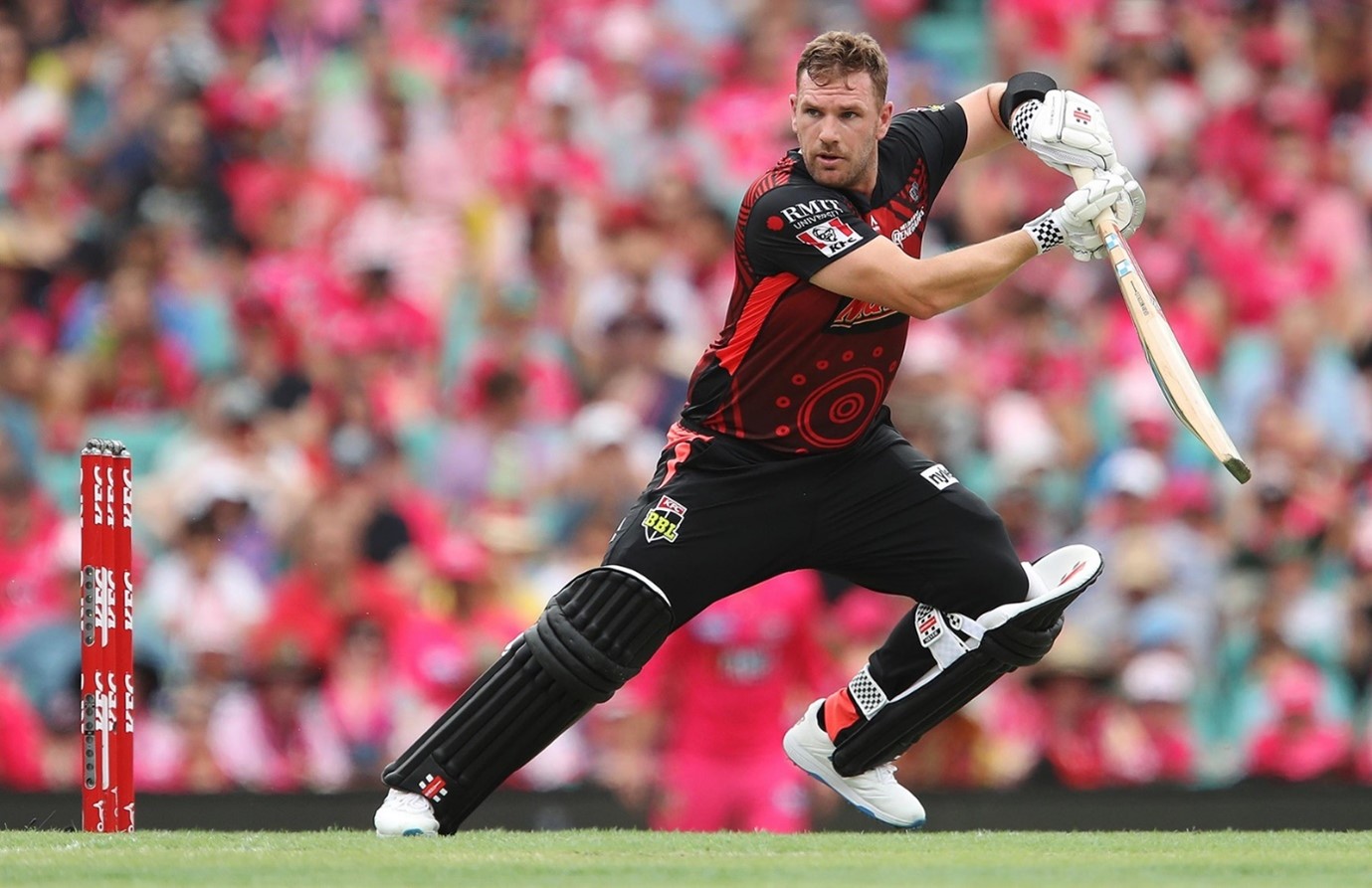 Aaron Finch | BBL