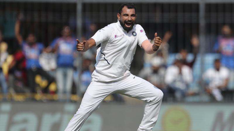 Mohammad Shami has been amazing for India in last two years | AFP