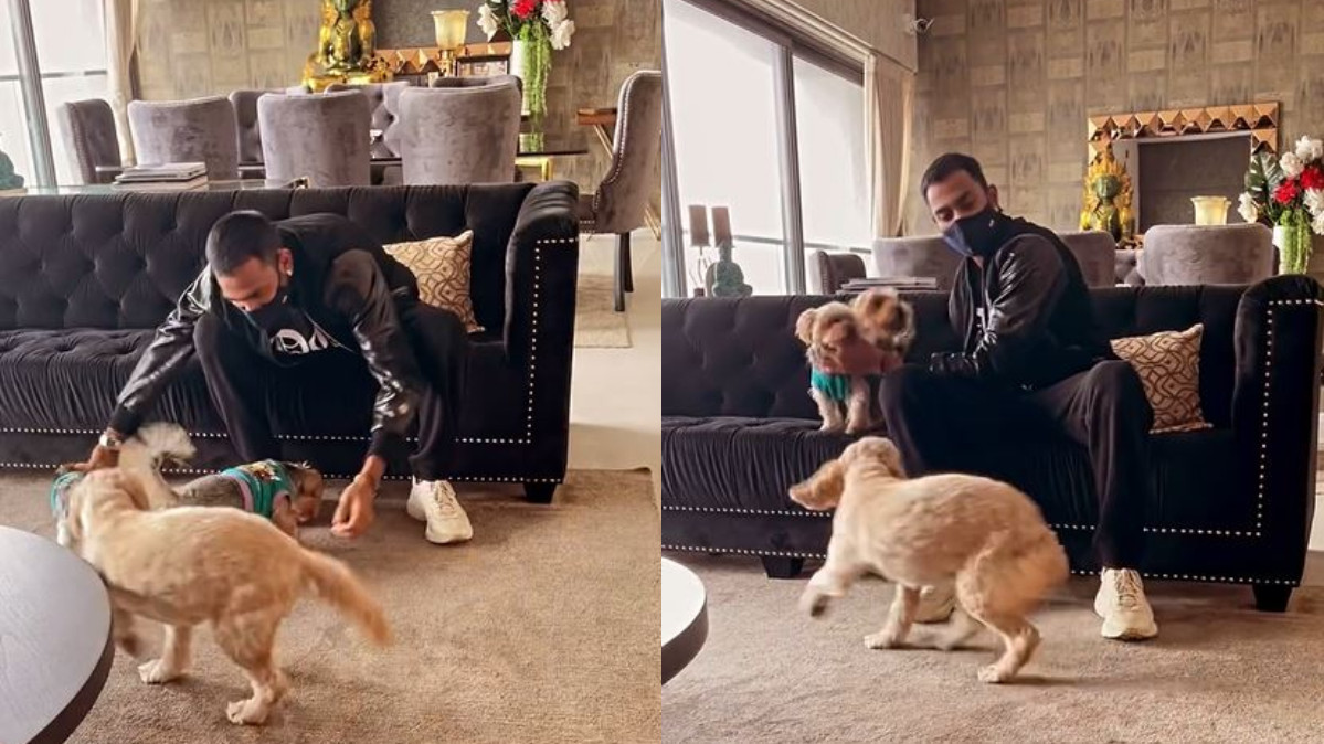 WATCH- Krunal Pandya shares adorable video with his pet dogs; fans shower him with love