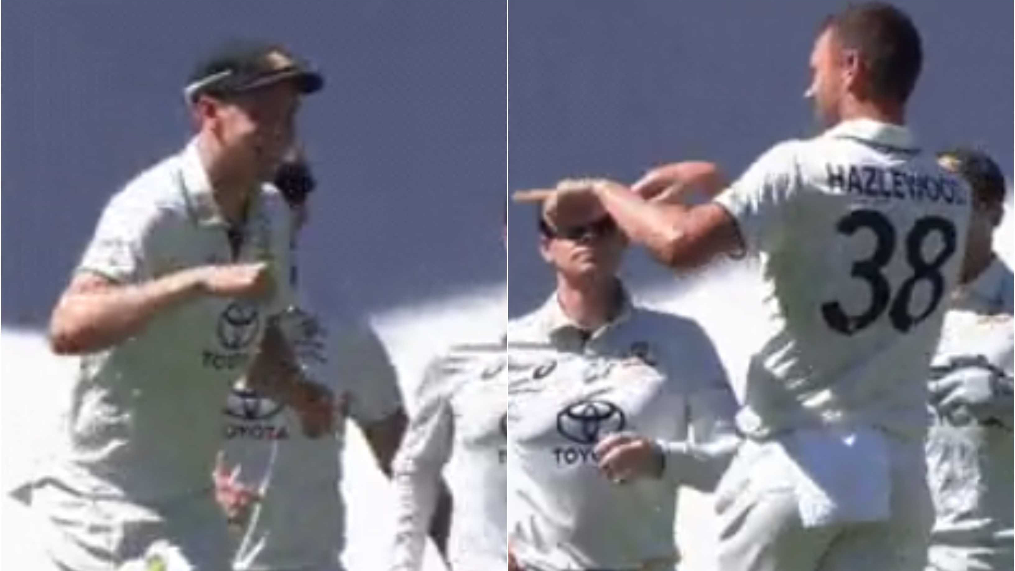 AUS v WI 2024: WATCH - Josh Hazlewood shoos away COVID-positive Cameron Green while celebrating a wicket