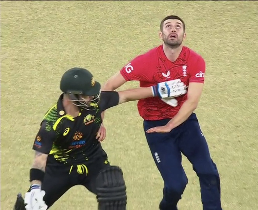 Matthew Wade obstructing Mark Wood | Screengrab