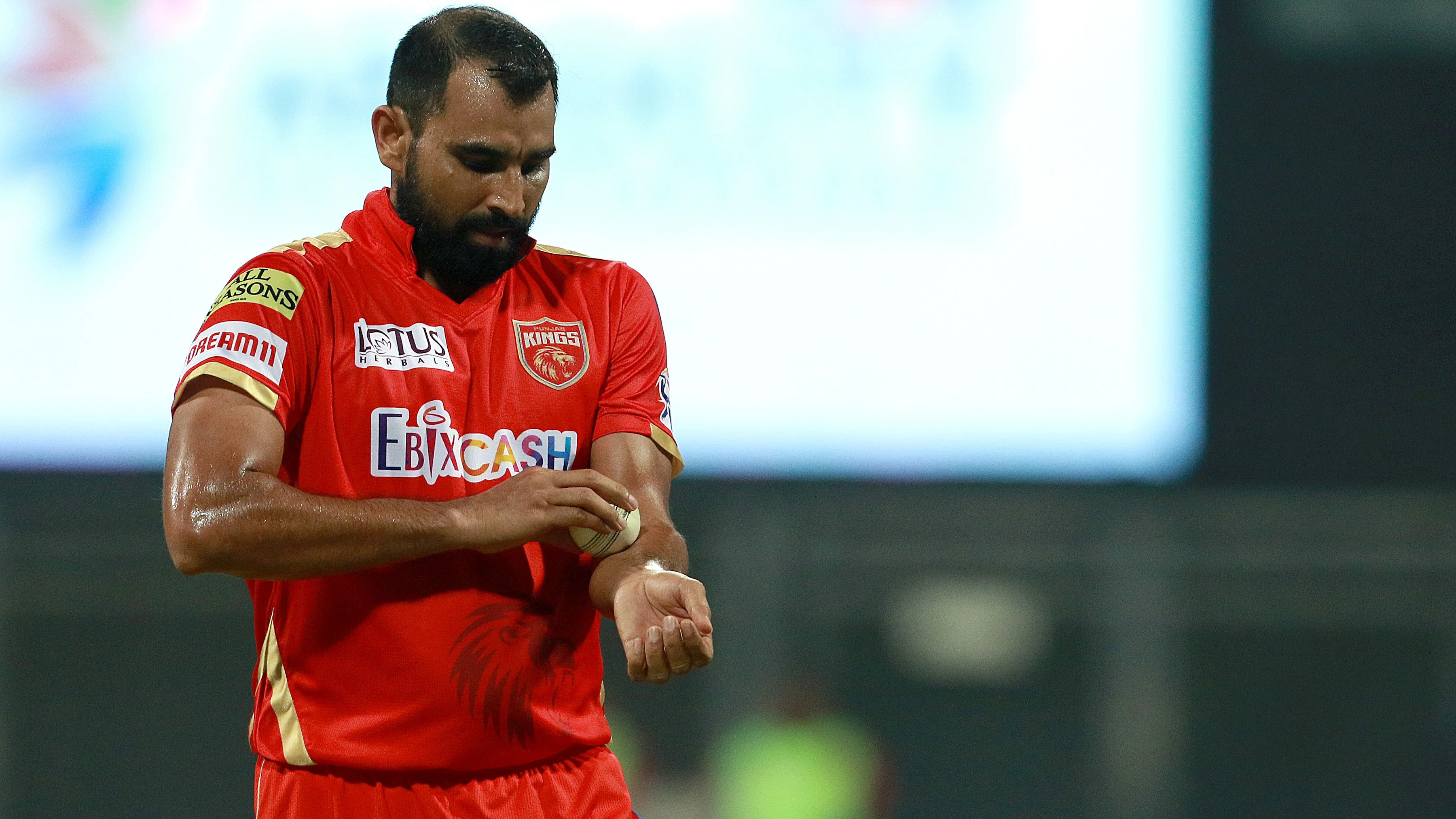 Mohammad Shami would be eager to justify his selection in India's T20 World Cup squad | BCCI-IPL