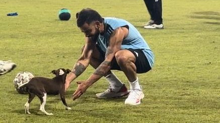 Asia Cup 2023: WATCH – Virat Kohli plays with a puppy during India's training session