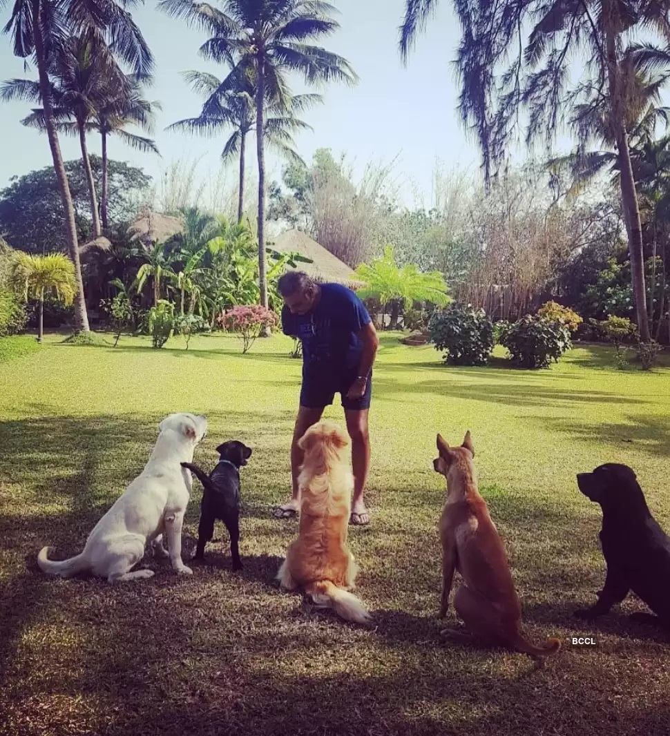 Ravi Shastri with his pet dogs | Twitter