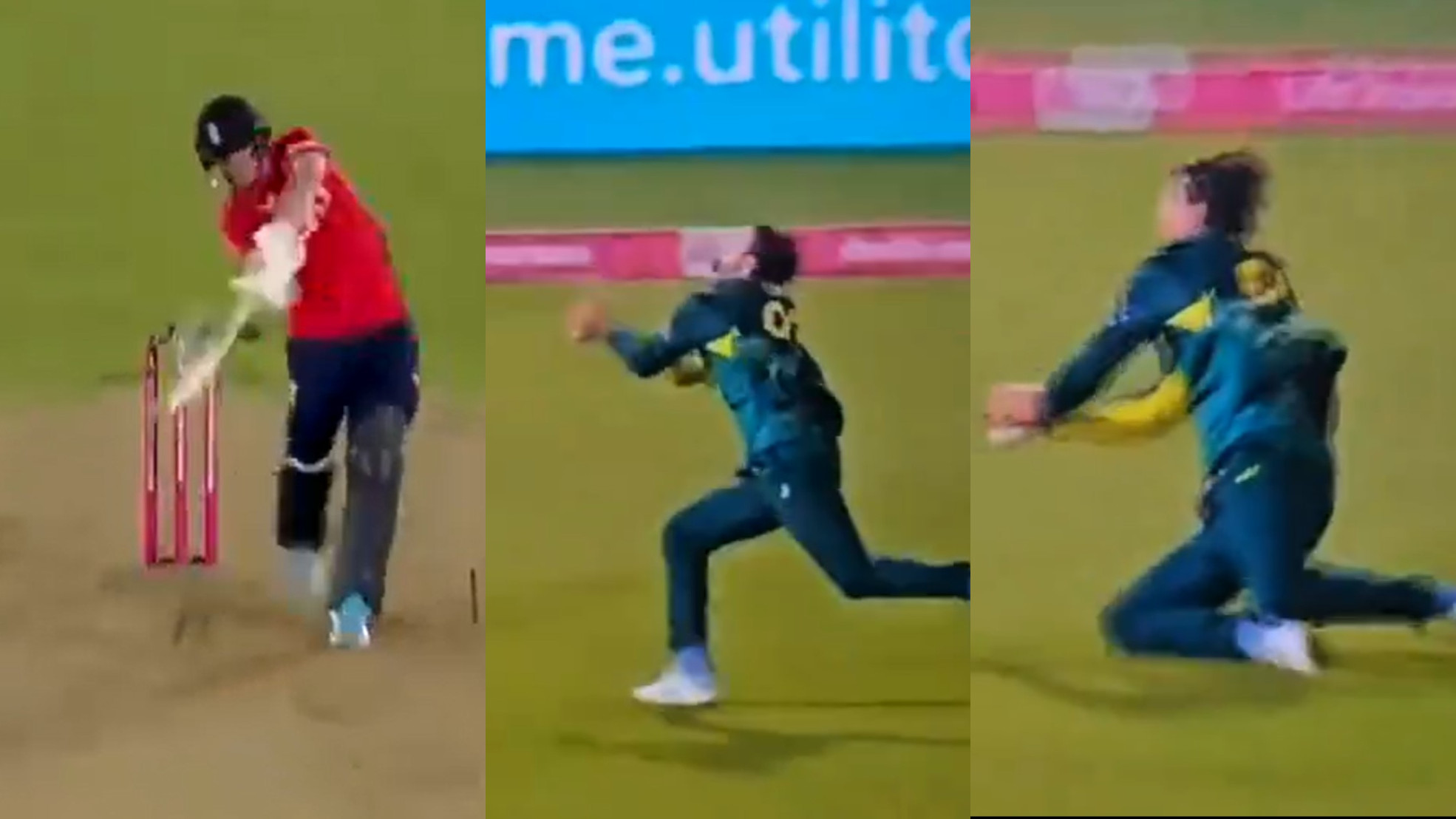 ENG v AUS 2024: WATCH- Tim David takes an amazing catch running backwards in 1st T20I against England