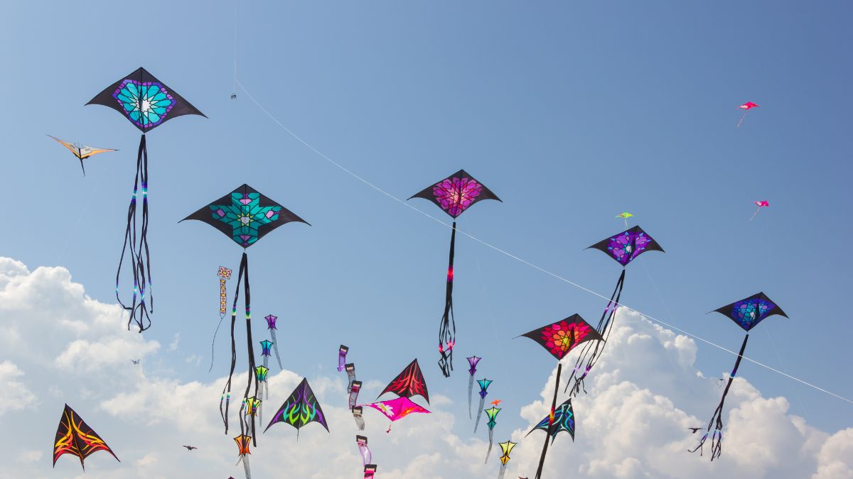 Makar Sankrant is also known as kite flying festival | X