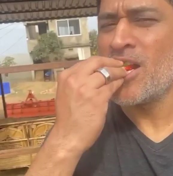 MS Dhoni enjoying the fruits of his labor | Instagram