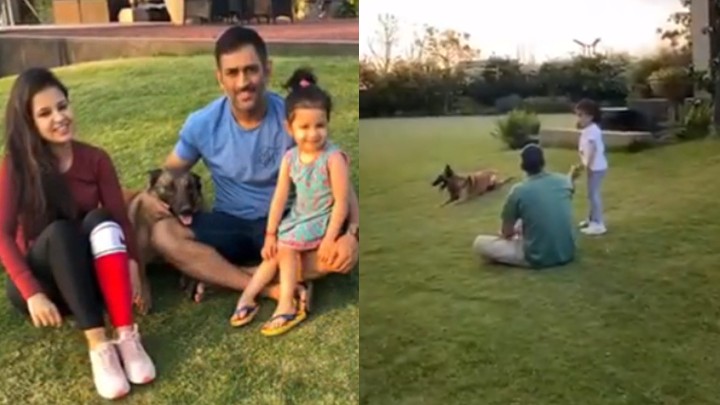 WATCH: Ziva challenges MS Dhoni while they test their dog's catching skills