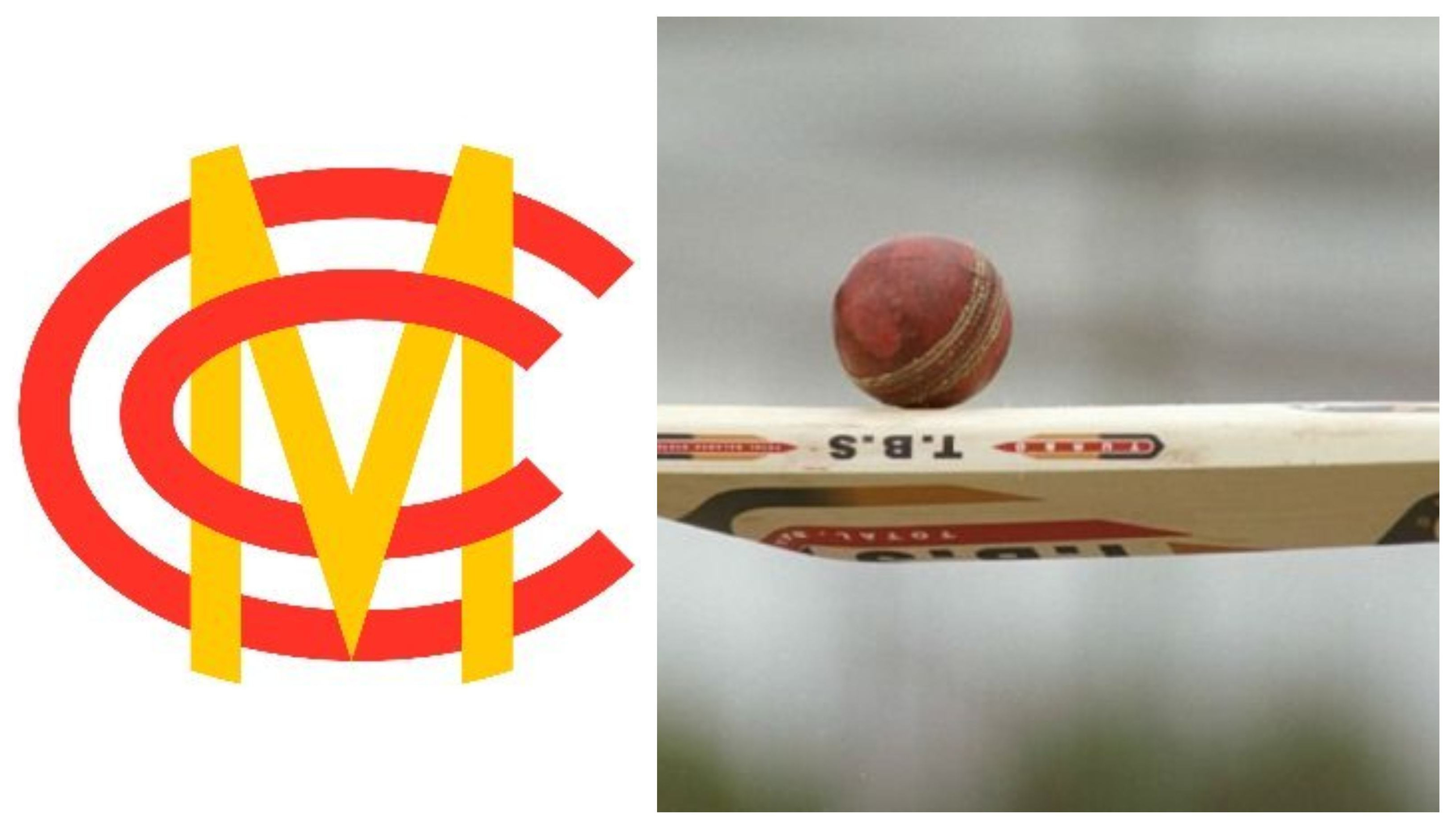 MCC rejects bamboo bats, says it will be illegal under current laws