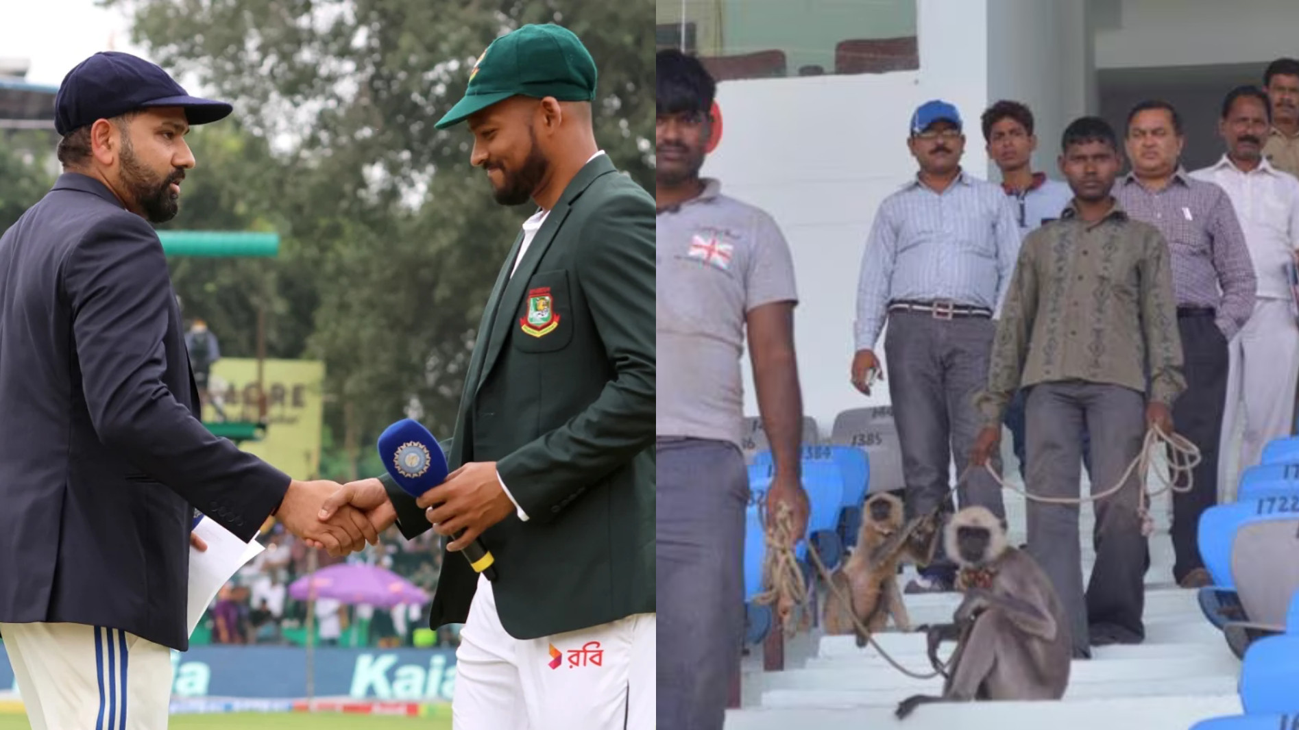 IND v BAN 2024: Kanpur stadium management hires Langurs to keep menacing monkeys away for second Test