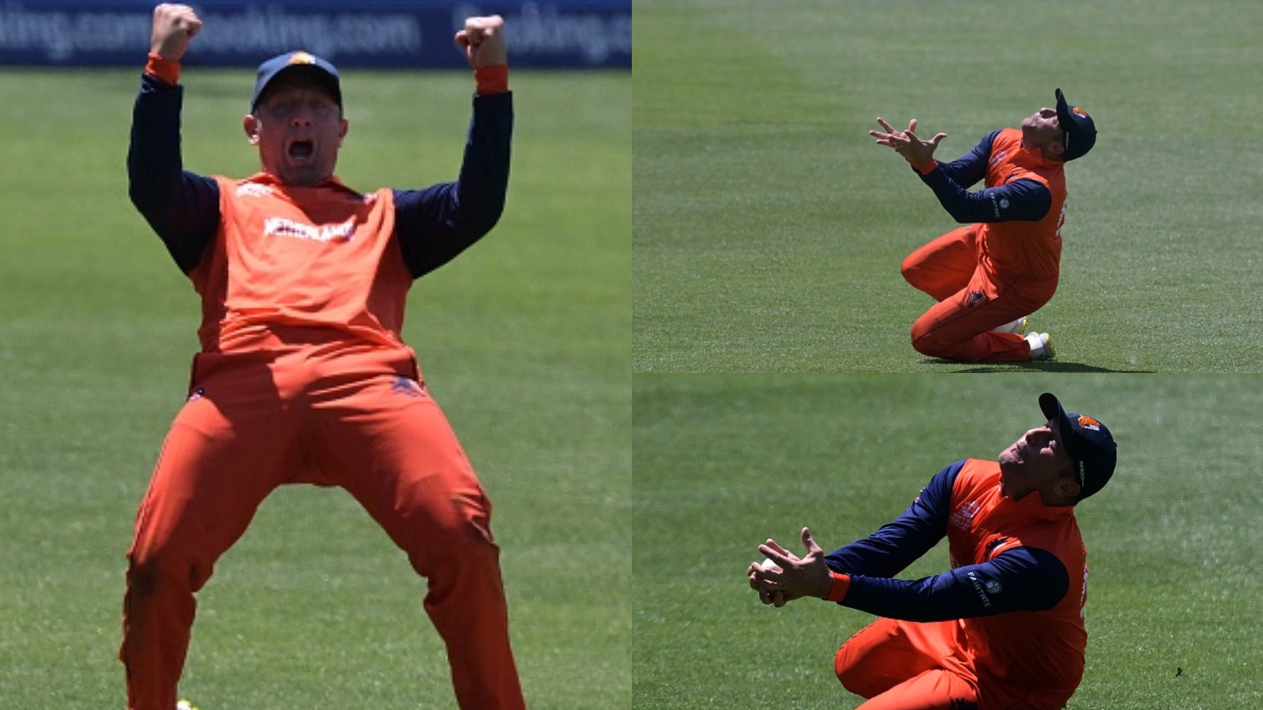 T20 World Cup 2022: WATCH- Roelof Van Der Merwe’s amazing catch of David Miller helps Netherlands beat South Africa  