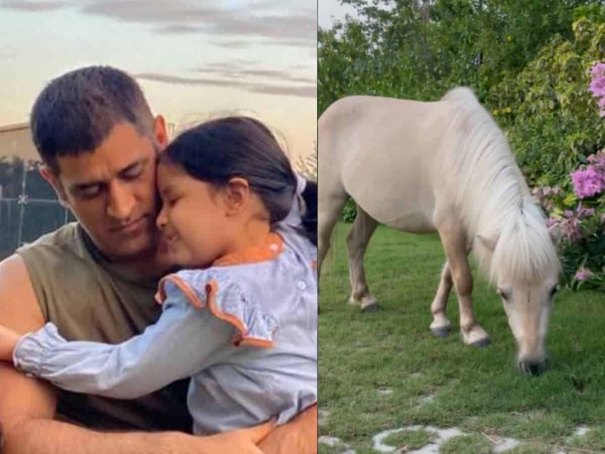MS Dhoni added a pony to his farmhouse for daughter Ziva | Instagram