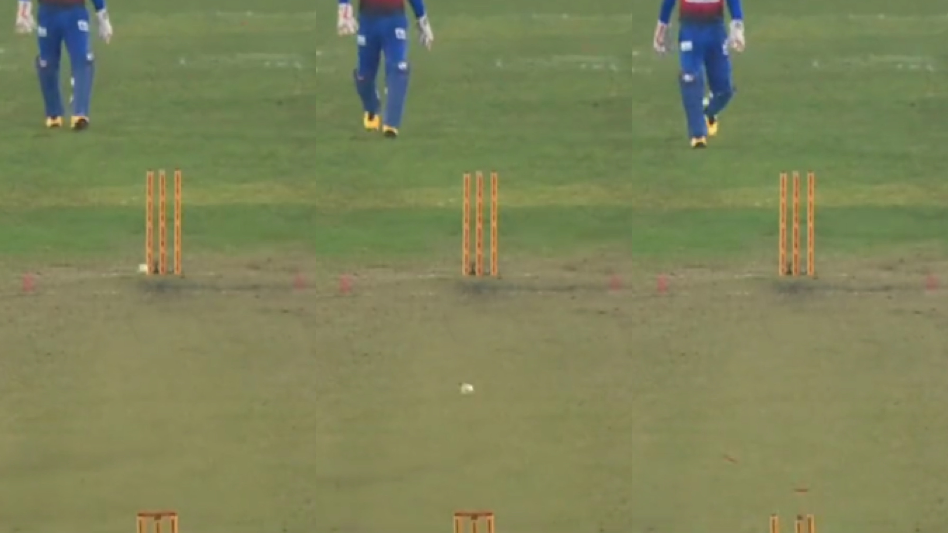 BPL 2022: WATCH - Andre Russell gets run out in the most bizarre fashion