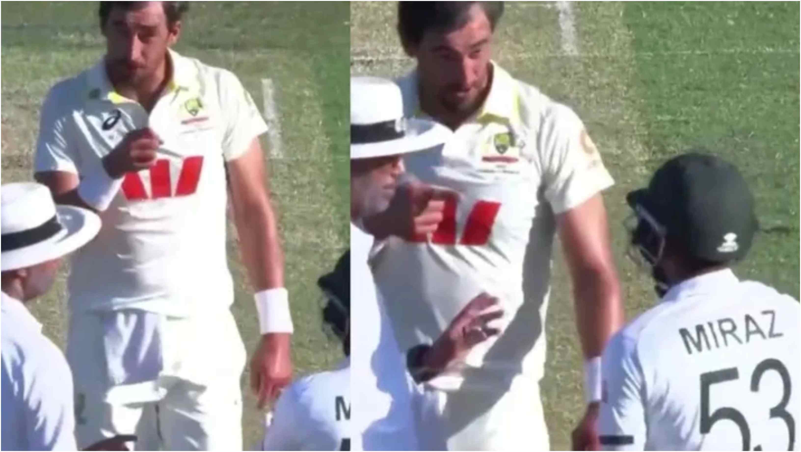 Mitchell Starc confronting Mehidy Hasan Miraz | Screengrabs