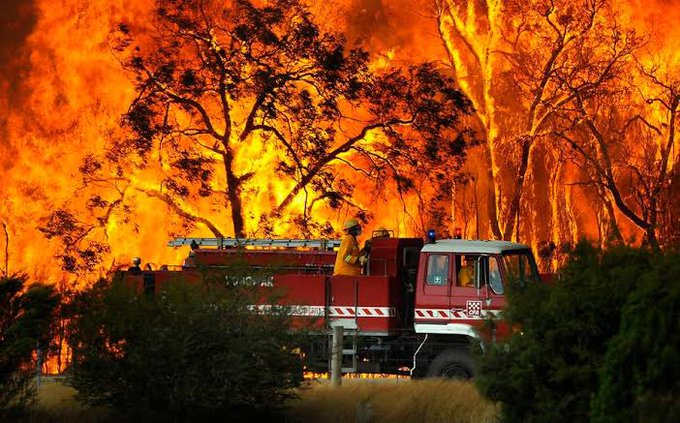 Bushfires have affected various parts of the country | Getty