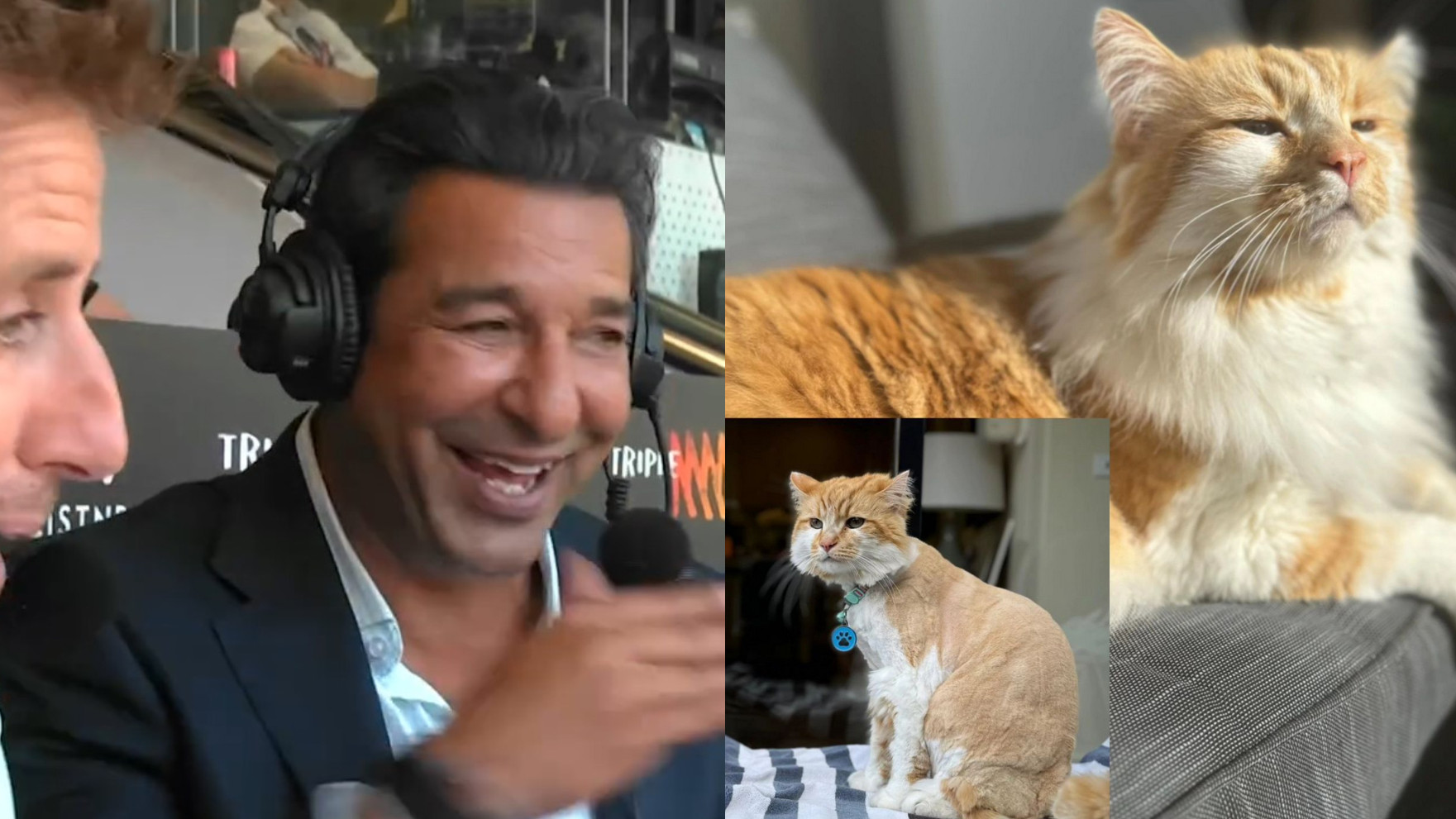 WATCH- Wasim Akram narrates hilarious story about his cat's AUD 1000 hair cut; See the end result