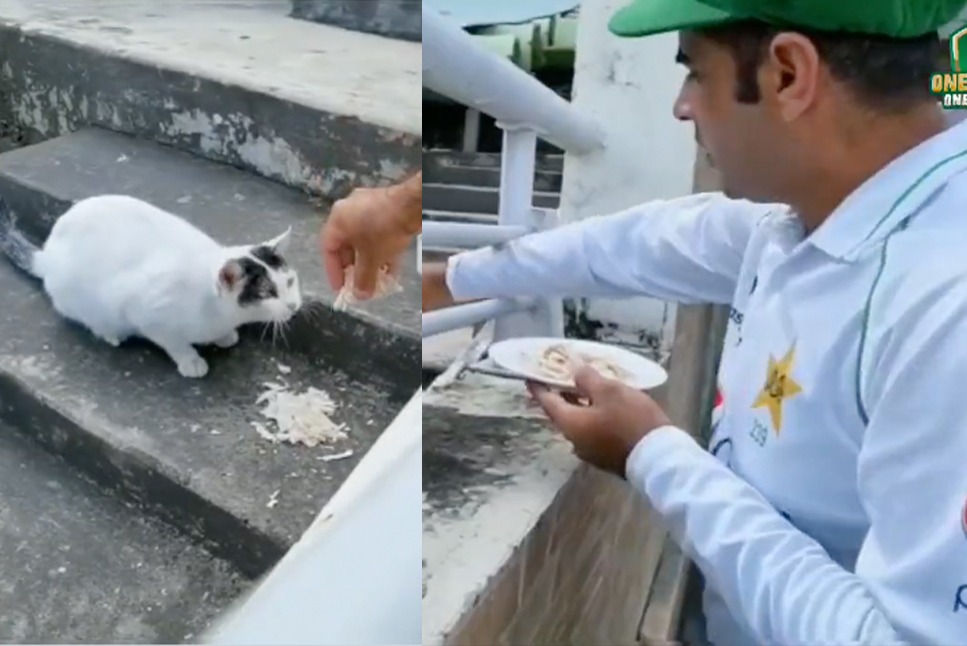 Abid Ali feeding a stray cat in Dhaka stadium | Twitter