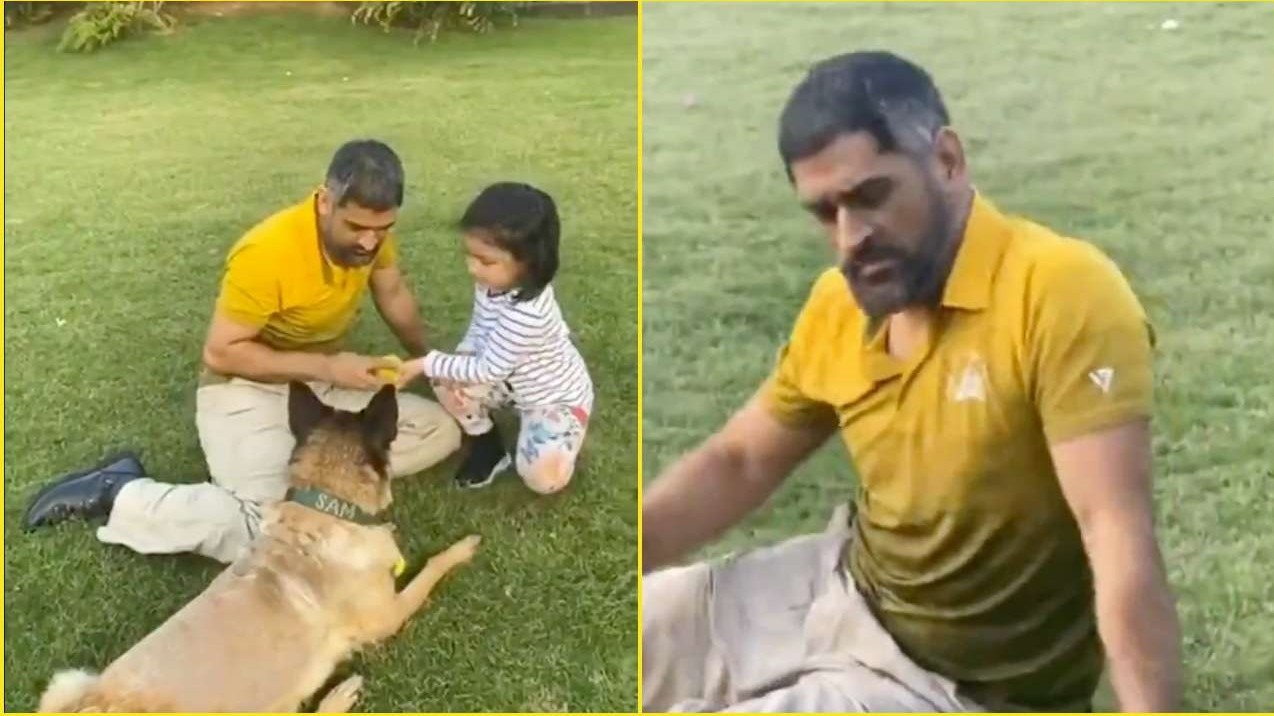 MS Dhoni’s dog obeys Sakshi, but gives him the cold shoulder in a funny video