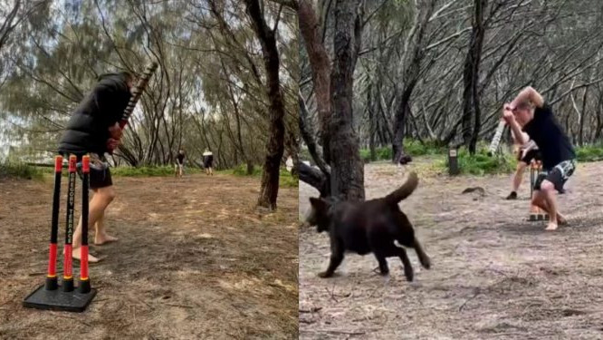 WATCH: Marnus Labuschagne’s dog turns fielder as he plays ‘campsite cricket’ on a rough pitch