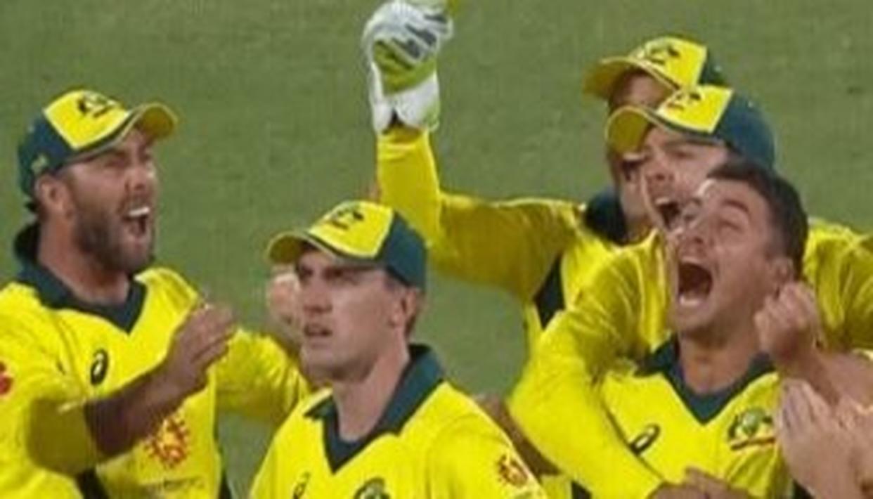 Pat Cummins' reaction is totally different from that of Marcus Stoinis 