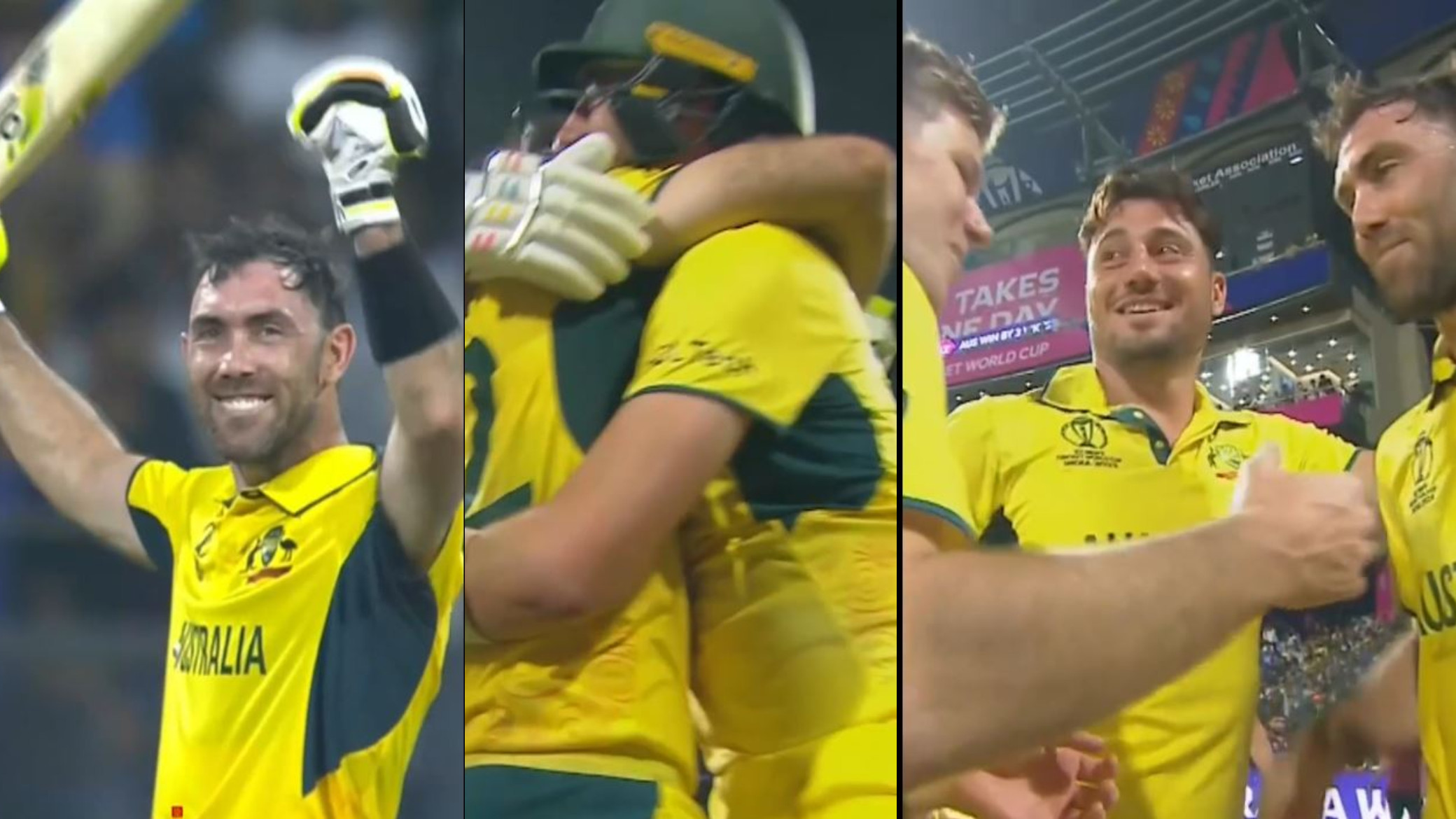 CWC 2023: WATCH - Glenn Maxwell embraced by teammates after double ton; says ‘the belief was always there’