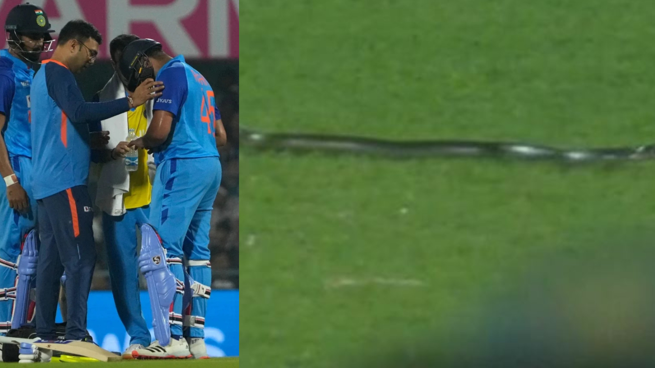 IND v SA 2022: WATCH- Snake invades Barsapara ground during 2nd T20I between India and South Africa