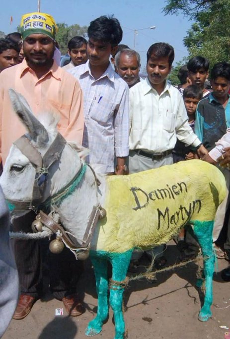 Donkey with Damien MArtyn painted on it | Getty