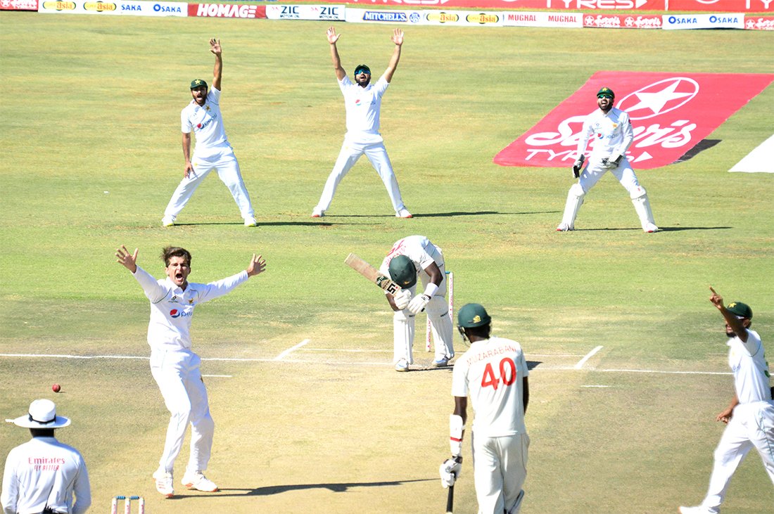 Pakistan handed a humiliating defeats to Zimbabwe | Twitter 