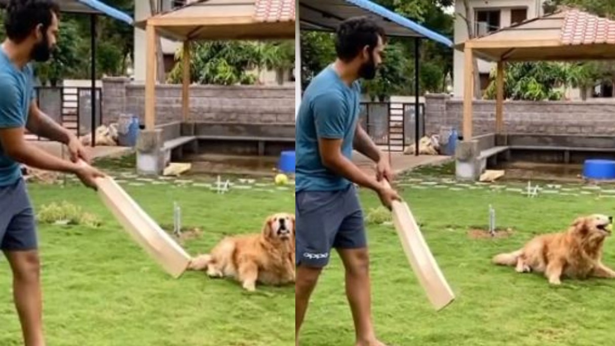 WATCH- Adorable video of Hanuma Vihari giving catching practice to his pet dog